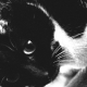 Avatar de Oli