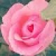 Avatar de dauphinette0104