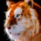 Avatar de Fabrice