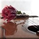 Avatar de Melodie68