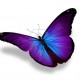 Avatar de Maryline P