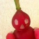 Avatar de Pascal