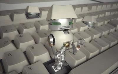 robots-wordpress