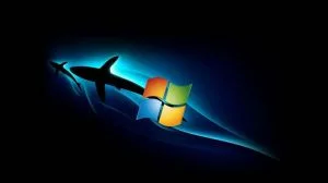 dolphin windows