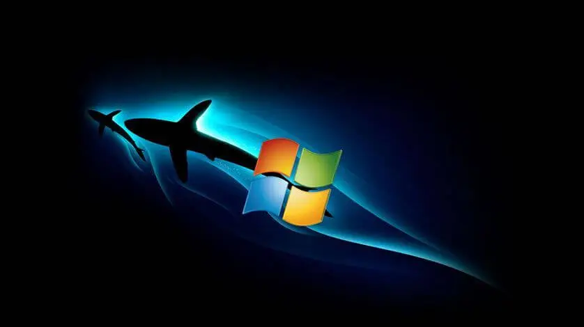 dolphin windows