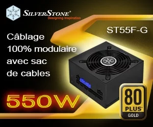 ST55F-G-300x250