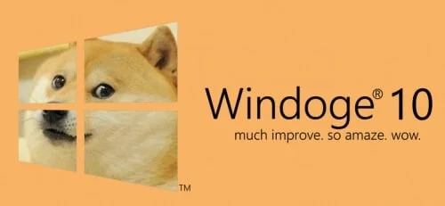 tracking-windows-10-dog