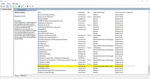 services windows update