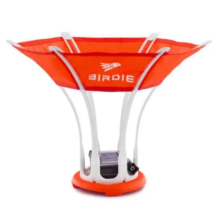 Birdie 04
